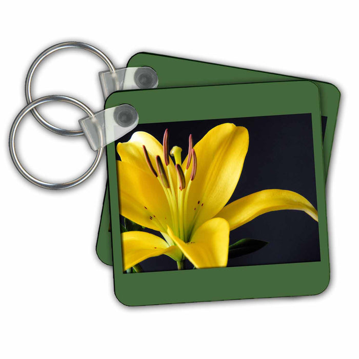 set of 6 Key Chains - Yellow Lily floral closeup on black background Photography Floral