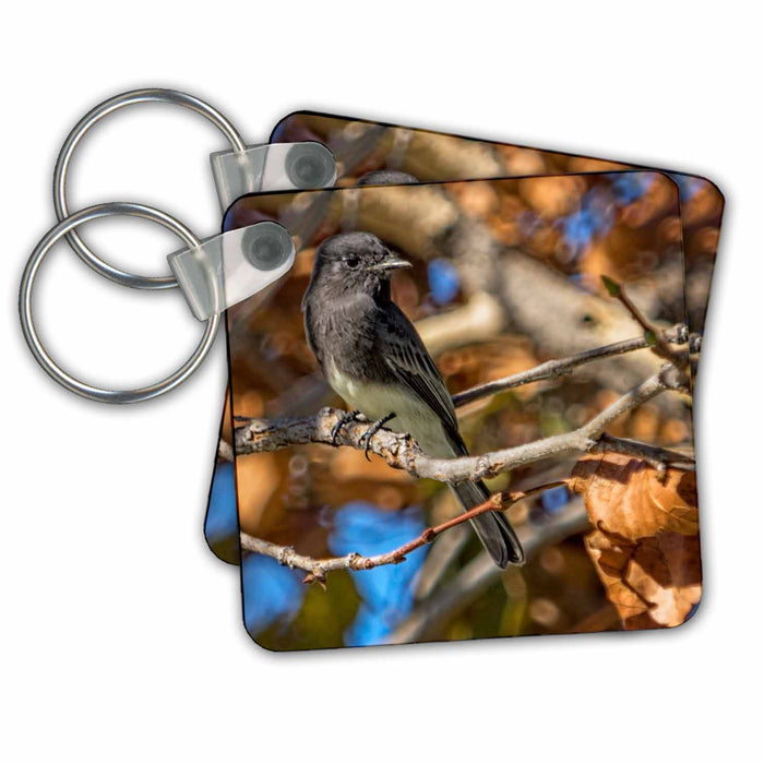 set of 6 Key Chains - Print of an Eastern Kingbird Photography Bird