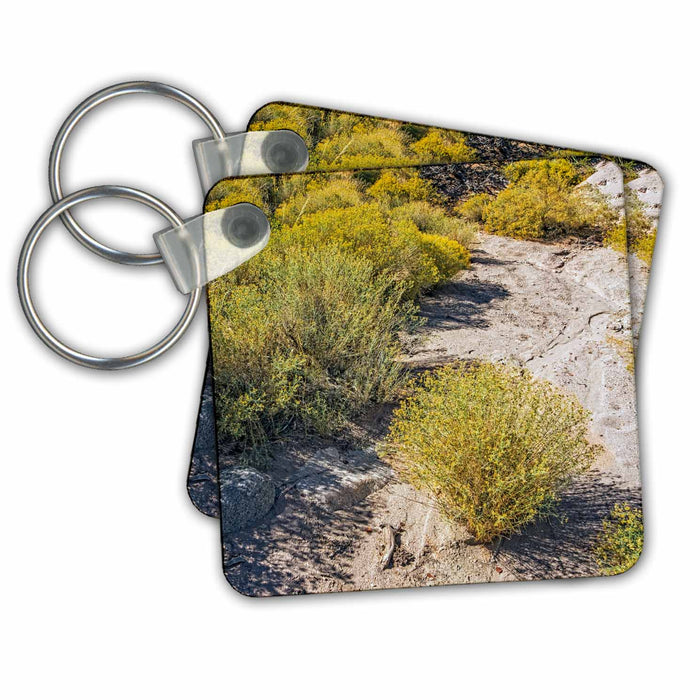 set of 6 Key Chains - Sage Brush in a Dry Wash Photography Landscape