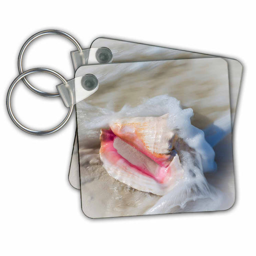image of set of 2 Key Chains