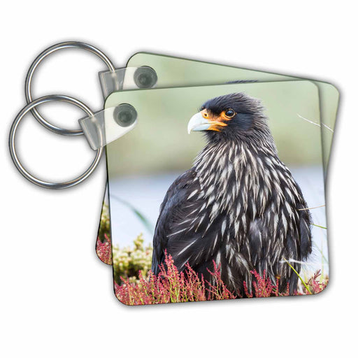 image of set of 2 Key Chains