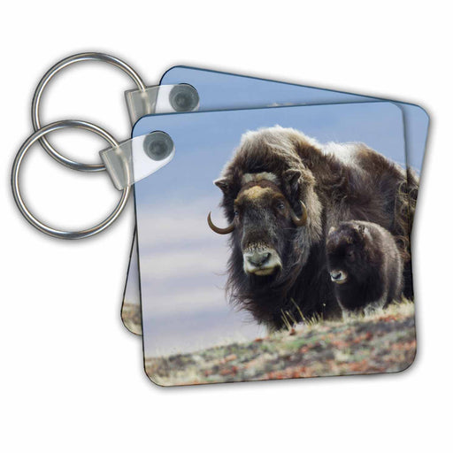 image of set of 2 Key Chains