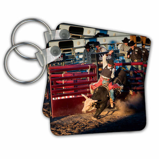 image of set of 2 Key Chains
