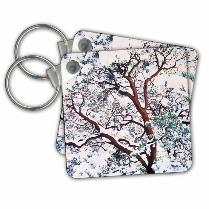 Key Chain - USA, California, Cleveland National Forest, snow on Manzanita Bush. Trees