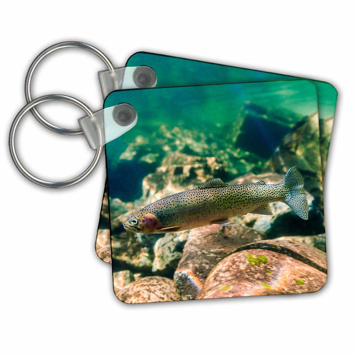 Key Chain - Trout in the Locsa River, Idaho Underwater