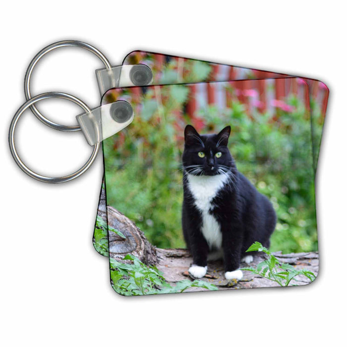 Key Chain - Pretty Female Black and White Tuxedo Cat on a Log Cat Photography