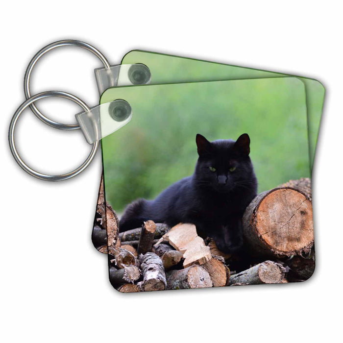 Key Chain - Beautiful Black Male Cat on Pile of Logs Cat Photography