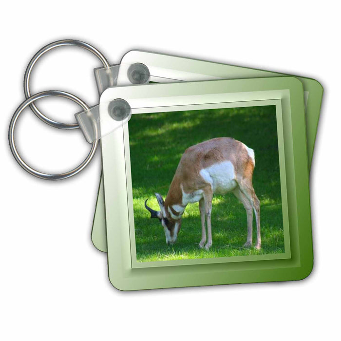 Key Chain - Zoo Antelope Photography Art Designs