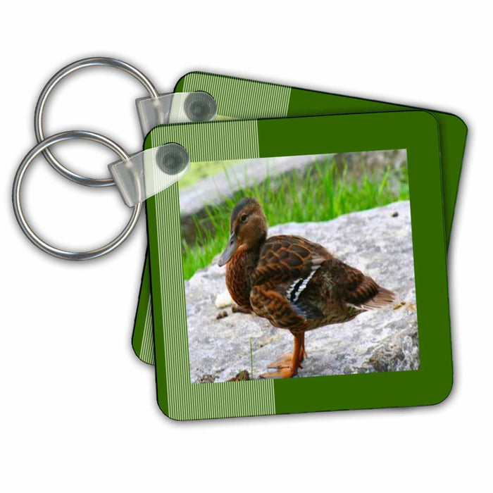 Key Chain - Mallard Duck Photography Art Designs