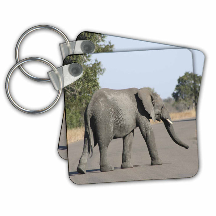 Key Chain - Kruger Elephant on road Safari Elephants