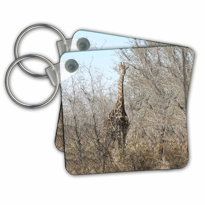 Key Chain - Kruger Giraffe Full view Safari Giraffes