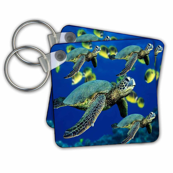 Key Chain - Sea Turtles Ocean Life