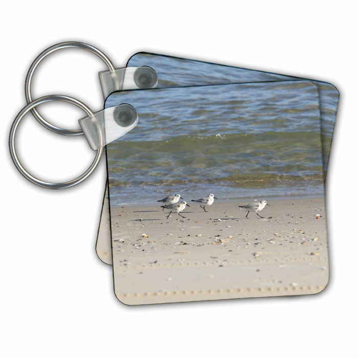 Key Chain - Piping Plovers Running On The Sand Photography - Animals