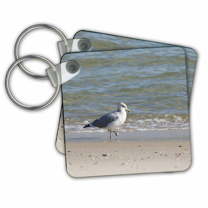 Key Chain - Seagull Searching The Sand Photography - Animals