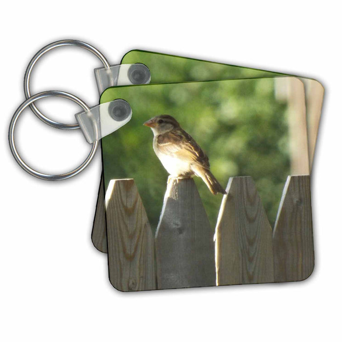 Key Chain - Cute Little Sparrow On Fence Birds