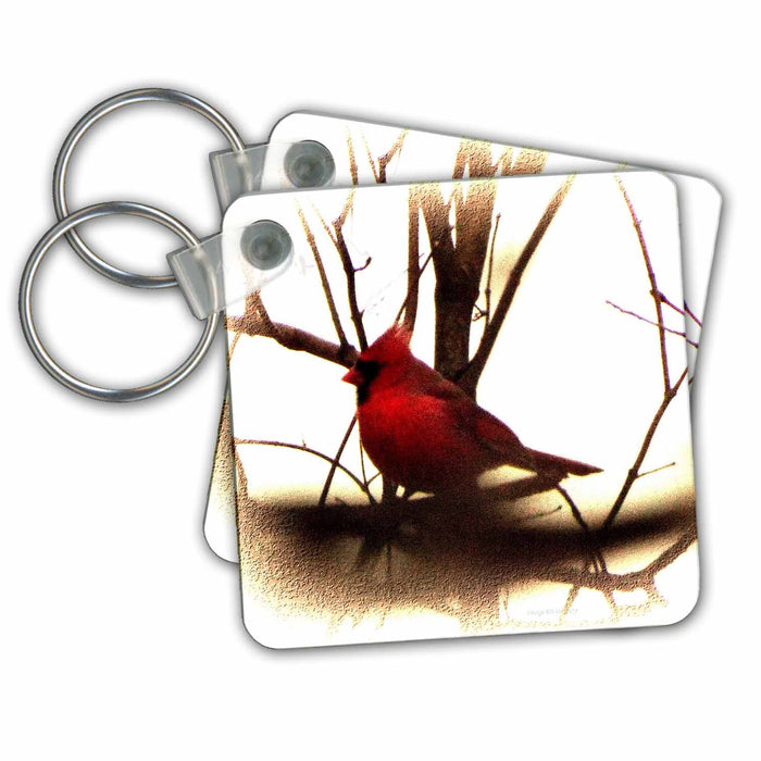 Key Chain - Bright Red Cardinal On Branch Vignette Birds