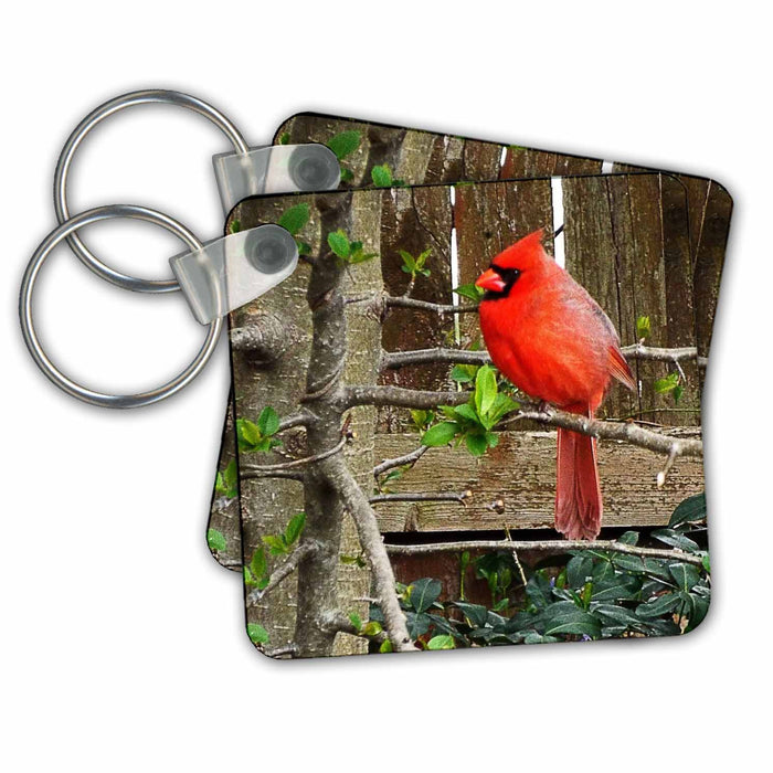 Key Chain - Bright Red Cardinal By Wooden Fence Birds