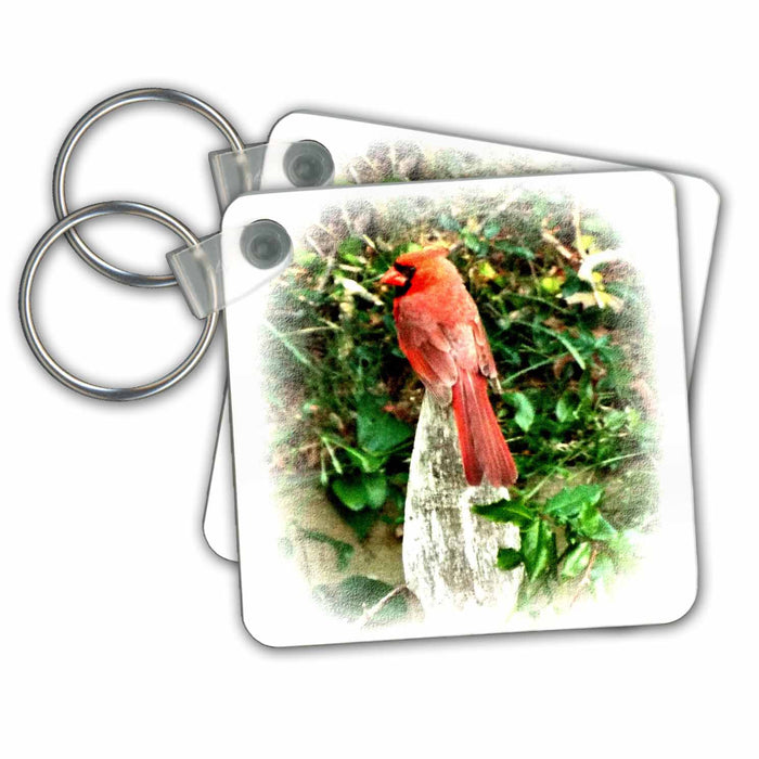 Key Chain - Beautiful Red Cardinal On Fence Vignette Birds