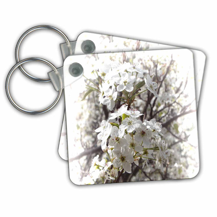 Key Chain - Flowering Dogwood Blooming Florals