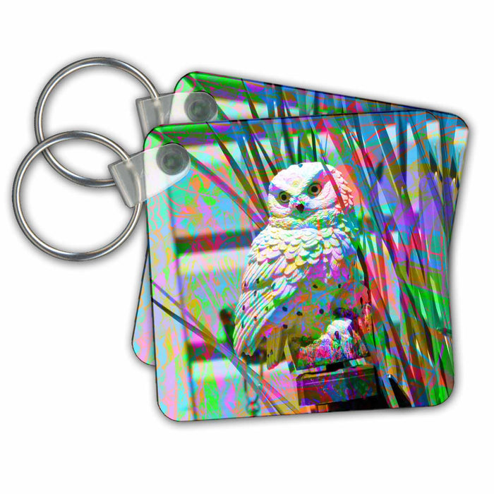 Key Chain - An Owl in a yard with a blended layer behind it in abstract Blended Layers Owl