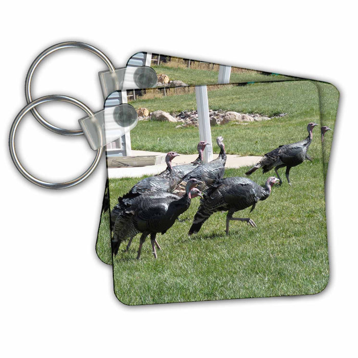 Key Chain - Six Turkeys Trotting on some grass in a yard in PV UT in Oct Turkey Trot