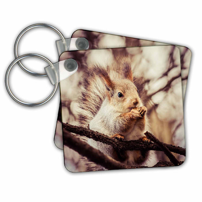 Key Chain - Squirrel animal sits on a tree and eats a nut. Stylized photo Alexis Photography - Animals