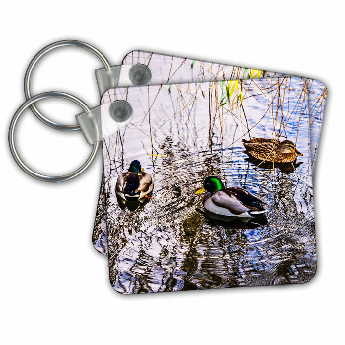 Key Chain - Three mallard ducks in a water. Willow twigs. Autumn season Alexis Photography - Birds