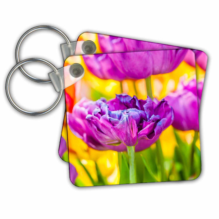 Key Chain - Tulips Enchanting - Violet parrot flower, multi-colored backdrop Alexis Photography - Flowers Tulips Enchanting