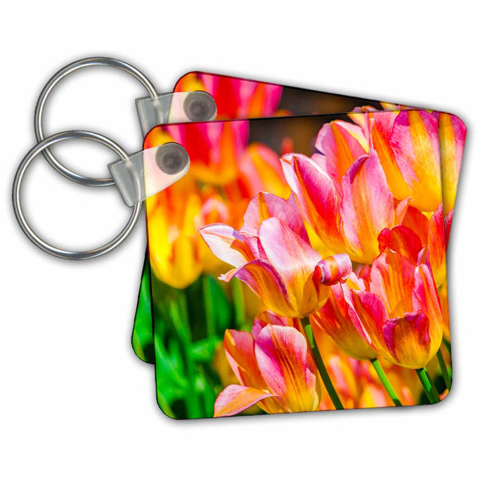 Key Chain - Tulips Enchanting - Group of shining orange and yellow flowers Alexis Photography - Flowers Tulips Enchanting