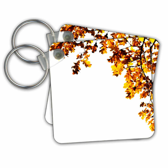 Key Chain - Decorative frame of shining brown oak leaves, space for custom text Alexis Design - Floral