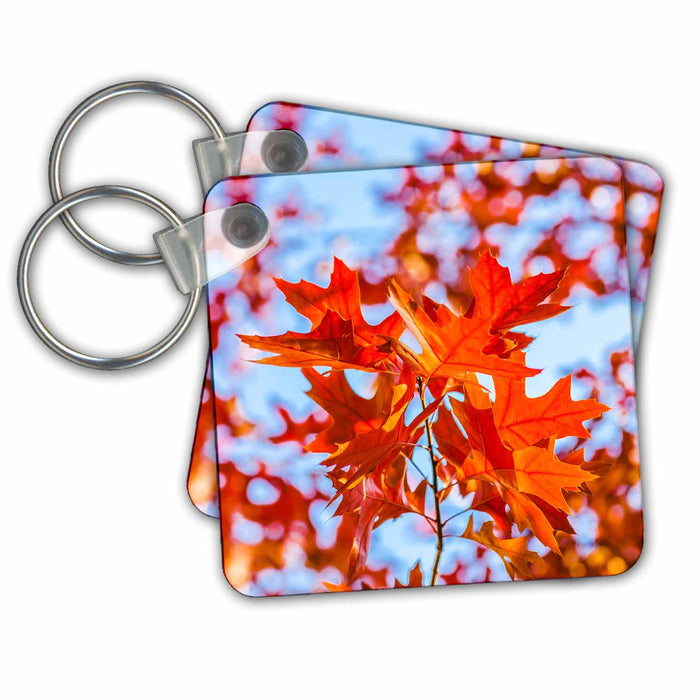 Key Chain - Red oak leaves, pale blue background, autumn season Alexis Photography - Seasons Autumn 2