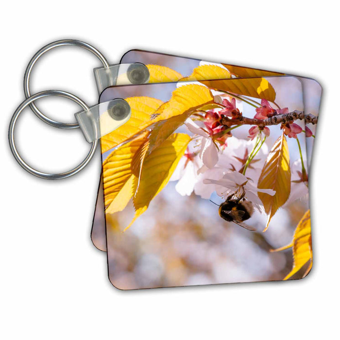 Key Chain - Bumble-bee on a sakura cherry flower Alexis Photography - Flowers Sakura 2