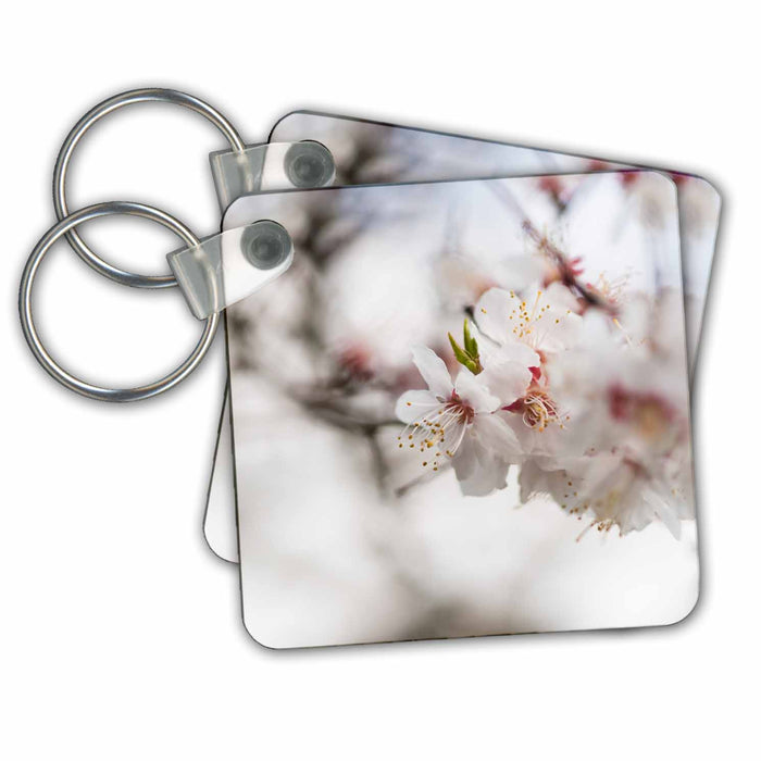 Key Chain - White Japanese apricot blossoms. The wedding dress of Spring Alexis Photography - Flowers Sakura 2