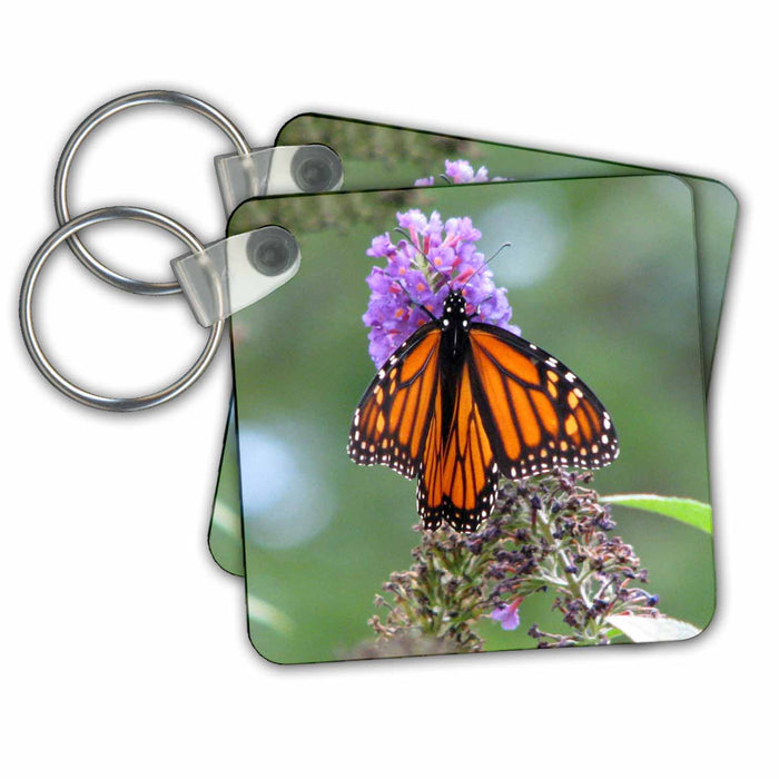 Key Chain - Butterfly Flowers Monarch Orange Purple Photography Nature