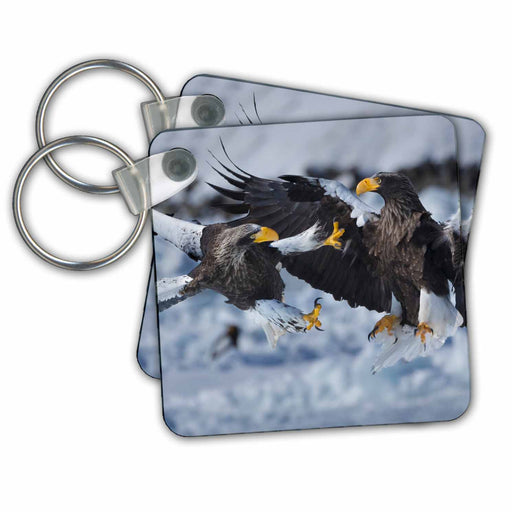 image of set of 2 Key Chains