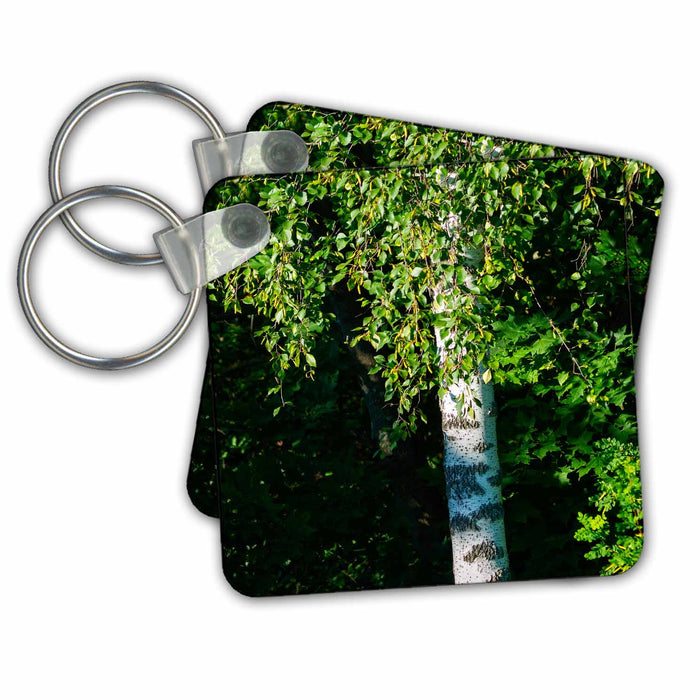 Key Chain - White body of a birch tree, sunlit green leaves, dark background Alexis Photography - Seasons Summer