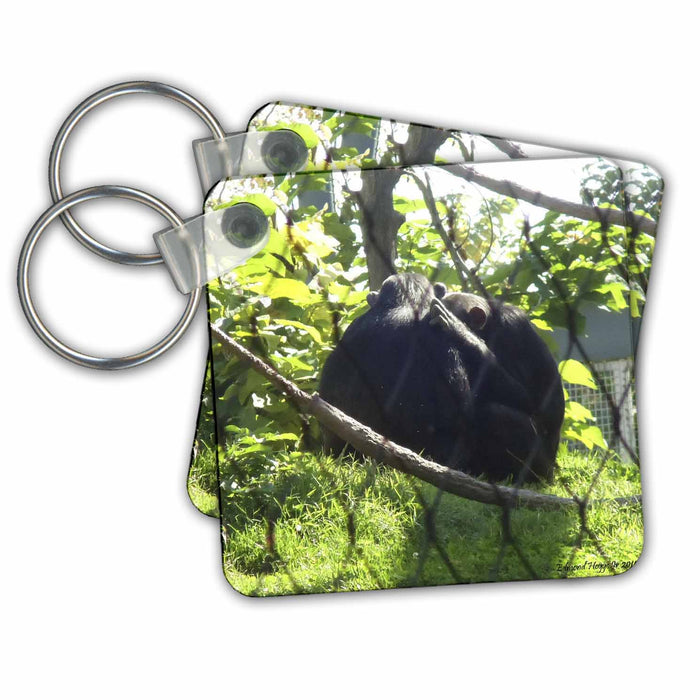 image of set of 4 Key Chains