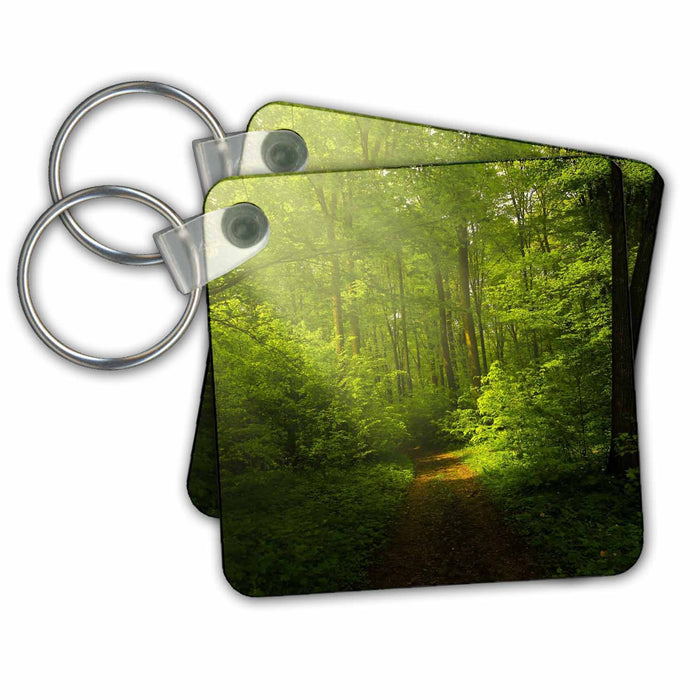 Key Chain - Image of a very beautiful forrest s Mountain and Lake Design Collection