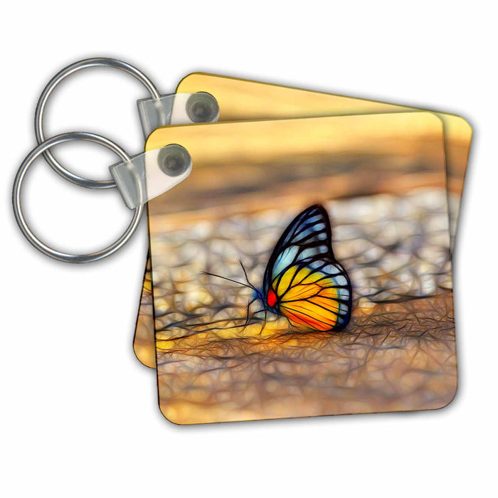 Key Chain - Pretty Orange and Blue Butterfly Image Of Light Infused Painting Light Infused Paintings