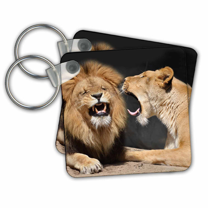 Key Chain - Funny Lion Couple with Lioness Yelling at her Mate Wildlife Humor Wildlife