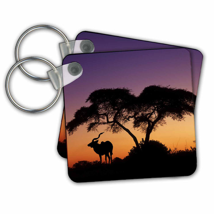 Key Chain - Africa, Botswana. Silhouette of greater kudu and acacia tree Africa