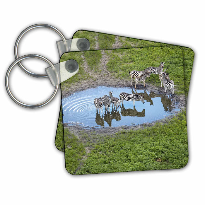 Key Chain - Zebra in pond, Okavango Delta, Botswana. Zebras