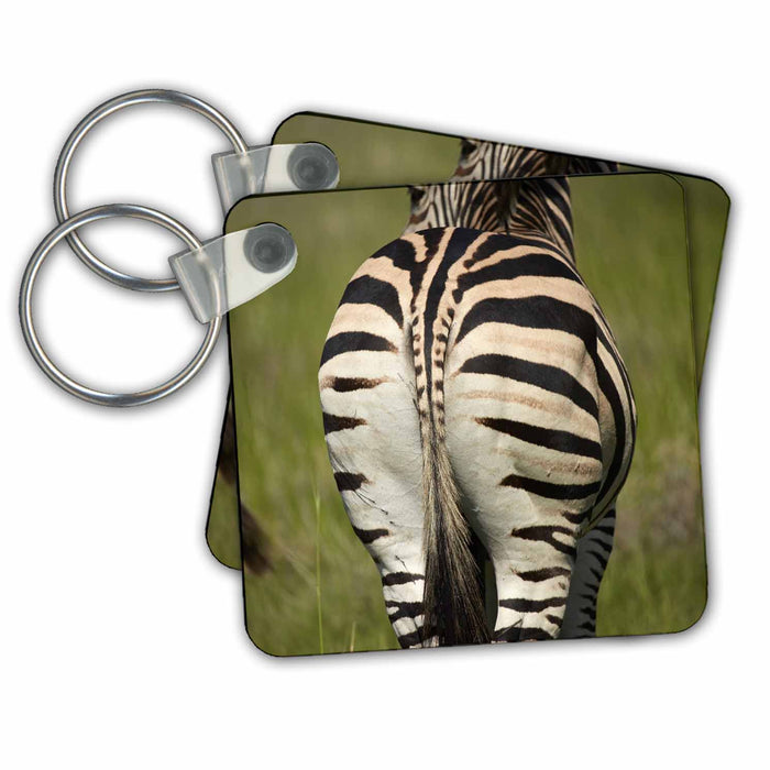 Key Chain - Zebra bottom, Moremi Game Reserve, Botswana Zebras