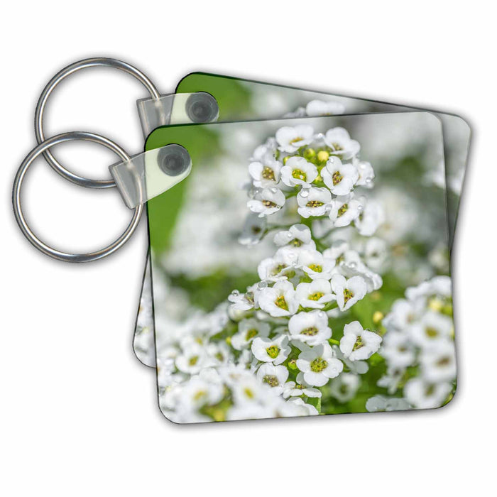 Key Chain - Sweet alyssum Flower