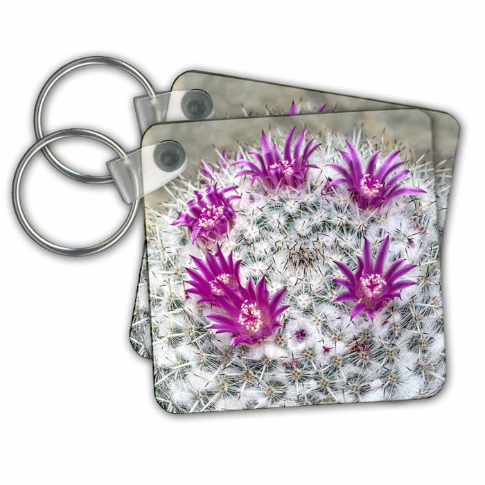 Key Chain - Spiny pincushion cactus Cactus