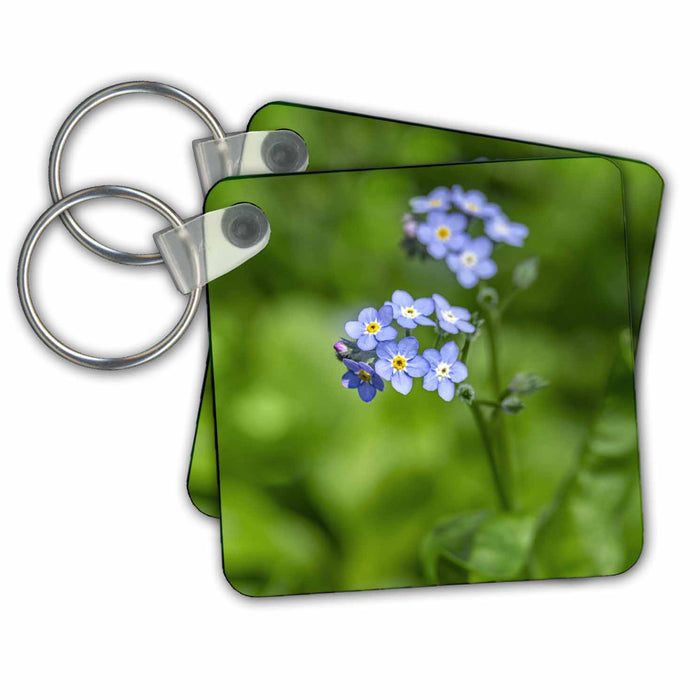 Key Chain - Alpine Forget me not Flower