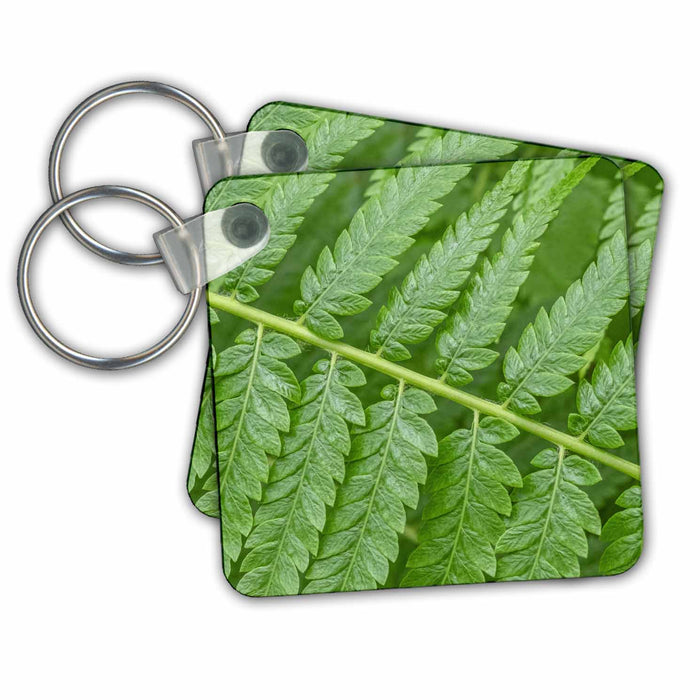 Key Chain - Hottentot fern, Marsh fern Leaves