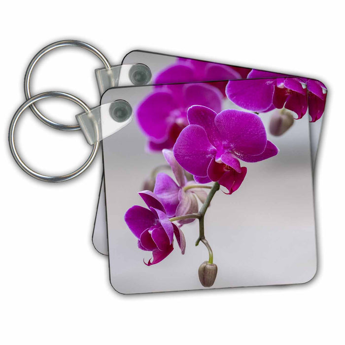 Key Chain - Magenta Moth Orchid. Flower