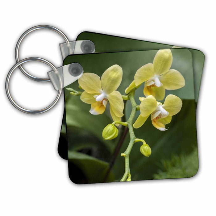 Key Chain - Moth Orchid. Flower