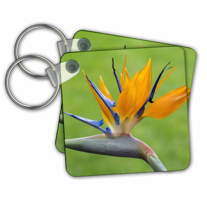 Key Chain - Bird of Paradise flower Flower